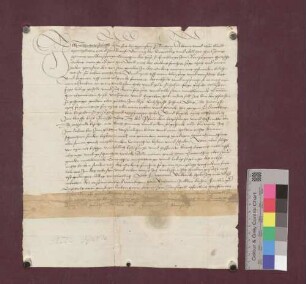 Johannes Strigel, Leutpriester zu Buchheim, urkundet, daß ihm von Heinrich von Brasberg, Deutsch-Ordens-Komtur zu Freiburg, wie jedem von dem genannten Komtur eingesetzten Priester der Erbfall erlassen sei.
