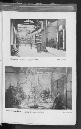 Deutsches Vogelhaus / Innenansicht Deutsches Vogelhaus / Flugkäfig für Weichfutterfresser