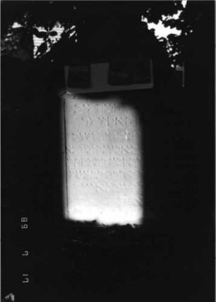 Grabstein 63 (Index: 99798202) Material: Sandstein, rot Zustand: stark verwittert Maße HxBxT: 87x56x13 cm Beschreibung: Stele, geschweifter Abschluß Symbolik: Palmblatt: Grabstein 63A (Detailaufnahme 1)