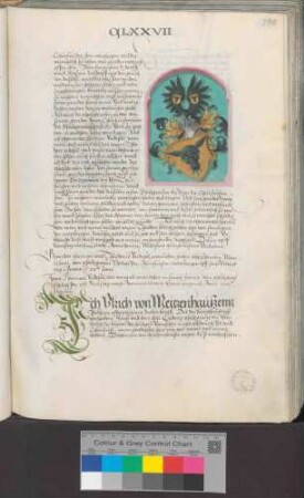 Ulrich von Metzenhausen