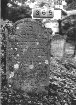 Grabstein 365 (Index: 99799698) Material: Sandstein Zustand: stark verwittert Maße HxBxT: 96x61x8 cm Beschreibung: Stele, eingezogener Korbbogenabschluß, Schriftfeld eingetieft: Grabstein 365
