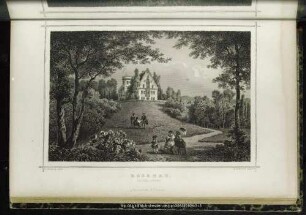 Rosenau