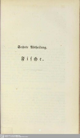 Sechste Abtheilung. Fische
