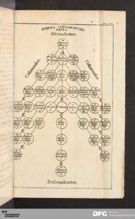 Schema Consanguinitatis.