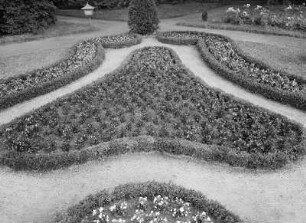 Seußlitz. Blumenparterre : Diesbar-Seußlitz, Schloßgarten. Blumenparterre (parterre de pièces coupées) mit Buchsbaumeinfassung (Buxus semperfirens L.)