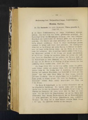Ordnung der Schmetterlinge, Lepidóptera.
