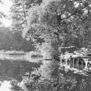 Trotzkefließ in Leipe. Bäume spiegeln sich im Wasser des Flusses. : Groble w Lipjem. Štomy špiheluja so we wodźe rěki.