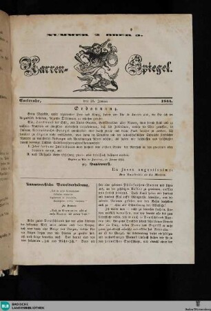Narren-Spiegel