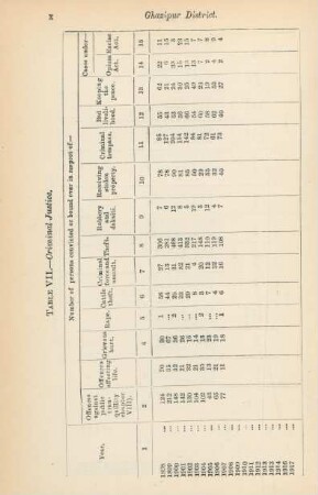 Table VII. Criminal justice