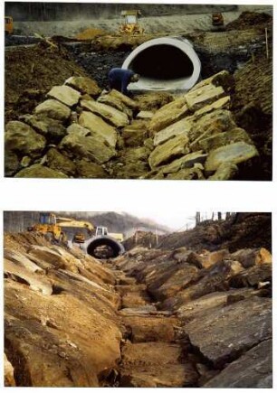 Auslauf einer Bachverdolung und naturgemäßer Verbau des Betts des Seebachs