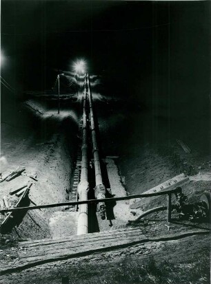 Rheindüker, 1955-1969