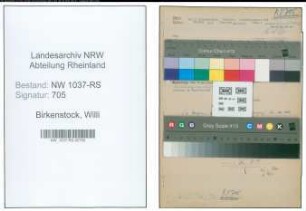 Entnazifizierung Willi Birkenstock , geb. 11.07.1901 (Studienrat)
