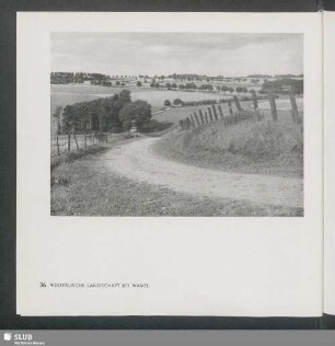 Westfälische Landschaft Bei Wamel