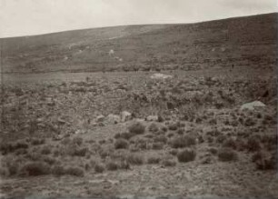Nordwest-Fuss des Chimborazo, beim Tambo Poquios