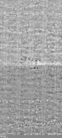 Lilie / Tj = S.3/4+11/12