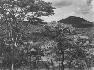Hügellandschaft : Bewaldete Hügellandschaft in Tansania