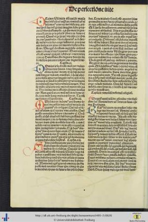 Opusculum de perfectione vite