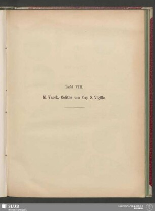 Tafel VIII