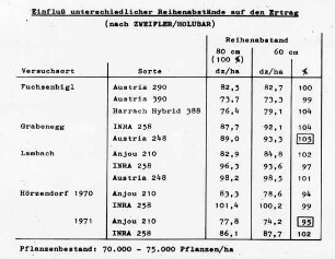 Einfluß unterschiedlicher Reihenabstände auf den Ertrag (nach Zweifler/Holubar)