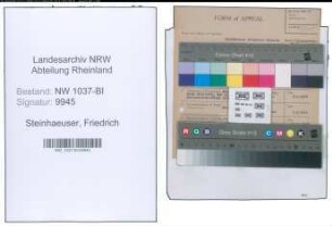 Entnazifizierung Friedrich Steinhaeuser , geb. 10.04.1903 (Steuersekretaer)