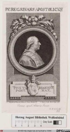 Bildnis Papst Pius VI. (Giovanni Angelo conte Braschi) (reg. 15. 2. 1775 - 29. 8. 1799)