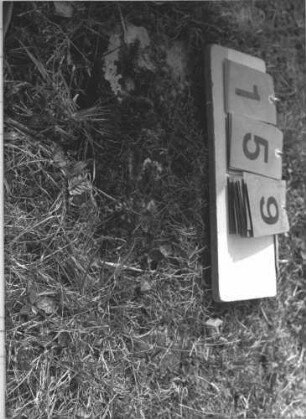 Grabstein 159 (Index: 99786100) Zustand: umgestürzt und zugewachsen Besonderheit: keine Maßangaben: Grabstein 159