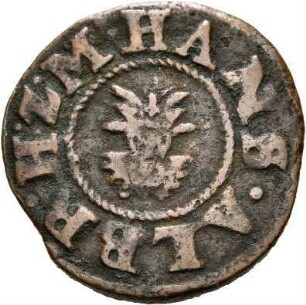 Mecklenburg-Güstrow: Johann Albrecht II.