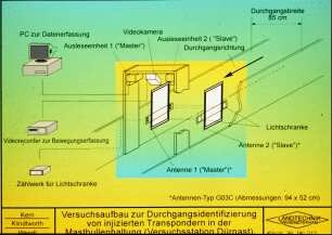 Versuchsaufbau zur Durchgangsidentifizierung von injizierten Transponder in der Mastbullenhaltung (Versuchsstation Dürnast)