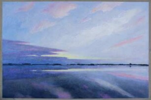 Abendliche Boddenlandschaft
