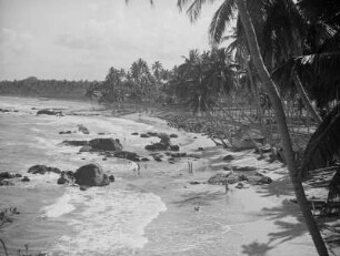 Küstenabschnitt auf Ceylon : Ansicht mit Palmenstrand