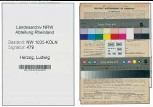 Entnazifizierung Ludwig Herzog , geb. 20.03.1909 (Elektriker)