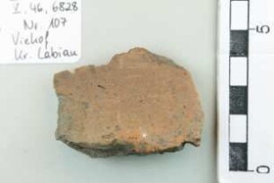 Gefäßfragment