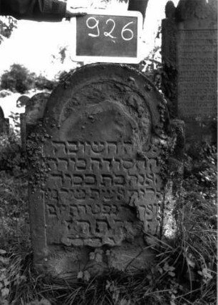Grabstein 926 (Index: 100103807) Material: Sandstein Zustand: an den Rändern stark verwittert Maße HxBxT: 89x58x8 cm Beschreibung: Stele, eingezogener Rundbogenabschluss, Schriftfeld eingetieft mit Konvexbogenabschluss, eine Zeile über Rand geschrieben: Grabstein 926