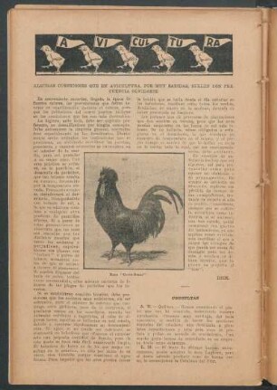 Avicultura : Algunas cuestiones que en avicultura, por muy sabidas, suelen con frecuencia olvidarse