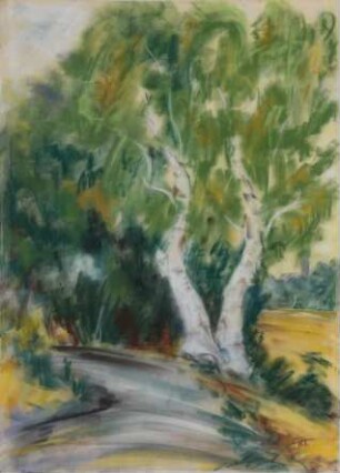 Auenlandschaft-Birken