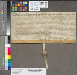 Decretum perpetui Litentii ratione predii Northoff [Kirchspiel Gimbte].