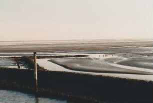 Leitdamm Norddeich bei Ebbe