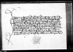 Konrad von Schellenberg zu Hüfingen quittiert für 30 fl. Sold.