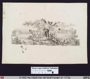 Kühe und Schafe auf der Weide