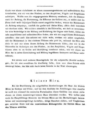 Kleines Hirn.