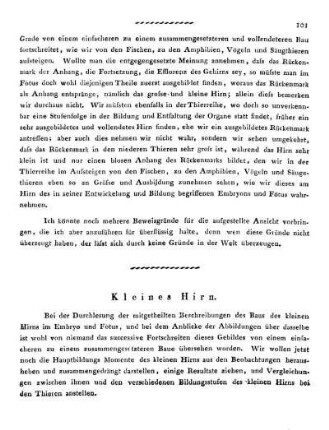 Kleines Hirn.