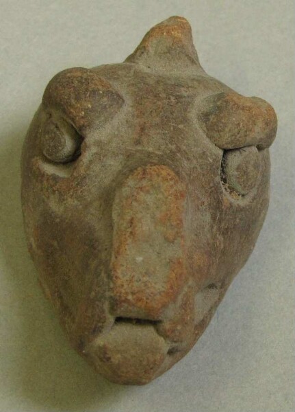 Animal head made of clay