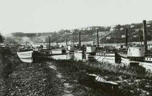 Ufer der Elbe an der Schiffswerft (oberhalb der Loschwitzer Brücke) mit zur Reparatur bereitliegenden Personen-Seitenraddampfern der Sächsisch-Böhmischen Dampfschiffahrts-AG