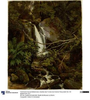 Quellen des Tui bei der Kolonie Tovar