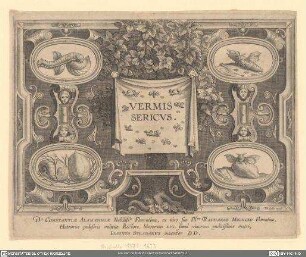 Vermis Sericvs