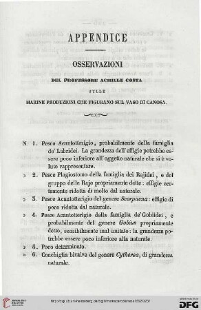 9: Osservazioni sulle marine produzioni che figurano sul vaso di Canosa