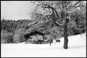 Beatenberg: Bauernhof in tiefem Schnee