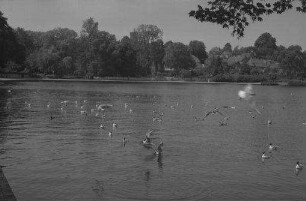 Eutin: Eutiner See mit Uferpromenade