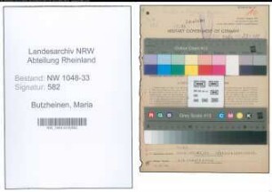 Entnazifizierung Maria Butzheinen , geb. 01.07.1905 (Angestellte)