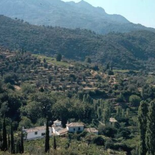 Samos. Samos, 476km2, 41000 Einwohner. "Toskanische" Landschaft bei Vurliótes auf der Karvúnis-Nordseite